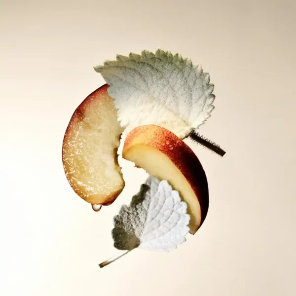 Bvlgari Splendida Patchouli Tentation